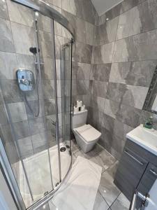 ein Badezimmer mit Dusche und Toilette in der Unterkunft The Trinity College Townhouse in Dublin