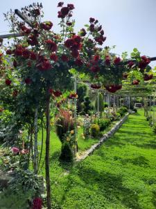 Gallery image of Guest House Gardenia & Wine Cellar in Lagodekhi