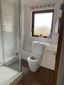 uma casa de banho com um WC, um chuveiro e uma janela. em Spencer Court em Hornchurch