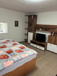 een slaapkamer met een bed en een flatscreen-tv bij Ubytování Měšetice 