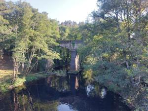 a bridge over a body of water with trees at Fonte dos pumares 