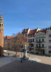 a city square with a statue in front of buildings at Apartamenty Sowa Toruń in Toruń