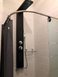 een douche met een glazen deur in de badkamer bij Private studio in Antwerp in Antwerpen