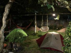 a tent and a hammock in a yard at night at Guesthouse AISI in Lagodekhi in Lagodekhi