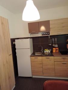 cocina con nevera blanca y fregadero en Apartman ISPOD DUGE LANA en Zlatibor