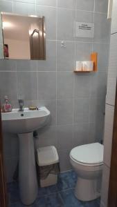 a bathroom with a toilet and a sink at Casa Elli in Buşteni