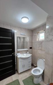 La salle de bains est pourvue de toilettes et d'un lavabo. dans l'établissement Casa Viorica -Botoș, à Ciocăneşti