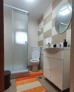 La salle de bains est pourvue de toilettes, d'un lavabo et d'un miroir. dans l'établissement Casa Viorica -Botoș, à Ciocăneşti
