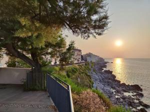 a tree on a hill next to the ocean at sunset at Scinniamare in Cefalù