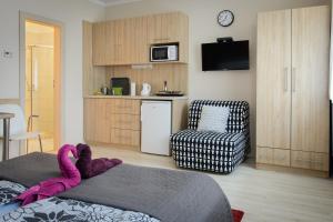 Habitación con cama y cocina con silla en Szíriusz Apartmanház, en Gyula