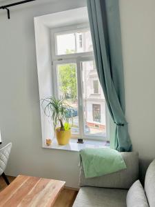 una finestra con una pianta in vaso seduta sul davanzale di una finestra di Cozy, zentrumsnahe 2-Raumwohnung a Lipsia