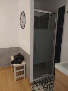 a shower with a glass door in a bathroom at La grange d'Auguste in Jettingen
