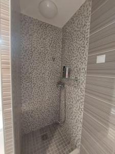 a bathroom with a shower with a tiled wall at Erzsebet Apartman, free parking in Budapest