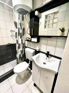 a bathroom with a white toilet and a sink at Apartment Adel in Mostar