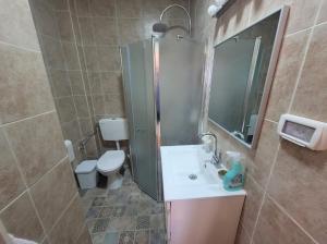 uma casa de banho com um chuveiro, um lavatório e um WC. em הבית באשכולות em Ma'alot-Tarshiha