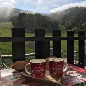 duas canecas de café sentadas numa bandeja sobre uma mesa em Studio 4 places vue sur les pistes station de Puyvalador em Puyvalador