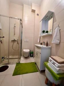 een badkamer met een douche, een wastafel en een toilet bij Srna Apartment - Bjelašnica in Bjelašnica