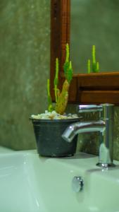 un cactus sentado en una olla en un fregadero en Kothmale Homestay, en Mawatura