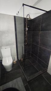 a bathroom with a shower and a toilet in it at City Apartment w3 BR spacious yard in Eretria