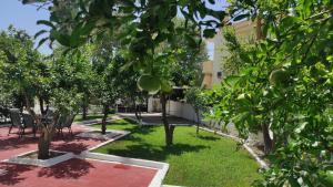 a garden with fruit trees and a building at City Apartment w3 BR spacious yard in Eretria