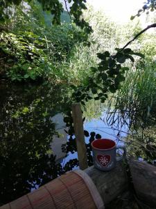 una tazza di caffè seduta su un tavolo accanto a una cassa d'acqua di Ravissante petite suite a Colmar