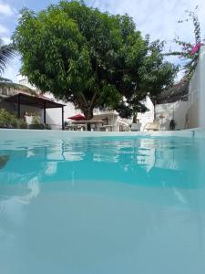 una piscina con un árbol en el fondo en CABAÑA EL ARBOL CARTAGENA, en Cartagena de Indias