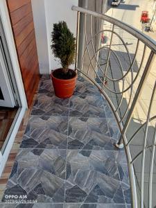 a staircase with a potted plant on a tile floor at Depamia in Huaraz