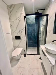 uma casa de banho com um WC, um lavatório e um chuveiro em Apartamenty Katowicka 58 - self check in 24h - by Kanclerz Investment em Chorzów
