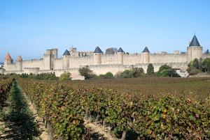 a large castle in the background with a field of vines at Le Céles'Thym - SPA Privatif in Conques-sur-Orbiel