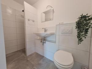 La salle de bains est pourvue de toilettes et d'un lavabo. dans l'établissement Alpenblick Pang, à Rosenheim