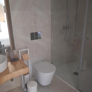 a bathroom with a shower and a toilet and a sink at Moinho das Cavadas in Ponte da Barca