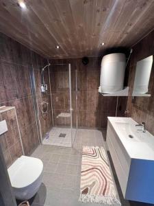 a bathroom with a shower and a toilet and a sink at Rindabotn Fjelltun in Sogndal