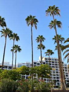 a group of palm trees in front of a building at Viña del Mar in Playa Fañabe