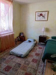 sypialnia z łóżkiem na podłodze i oknem w obiekcie Ravissante petite suite w mieście Colmar