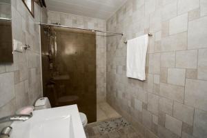 La salle de bains est pourvue d'une douche, de toilettes et d'un lavabo. dans l'établissement Qoqosa In Racha, à Ambrolaouri