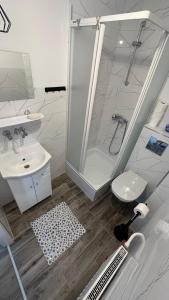 een badkamer met een douche, een toilet en een wastafel bij Pokoje u Lusi in Tylicz