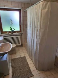 y baño con cortina de ducha y lavamanos. en Ferienwohnung am Bodensee, en Tettnang