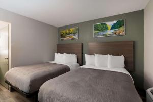 薩克拉門托的住宿－Quality Inn Elk Grove-Sacramento，酒店客房设有两张床,墙上挂有两幅画作