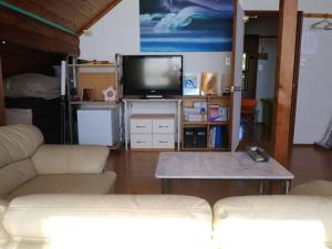 sala de estar con 2 sofás y TV en 八丈島メープルハウス, en Hachijō