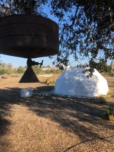 a large amphitheater in a field under a tree at Forest Domes in Setúbal