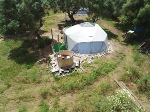 - une vue aérienne sur une tente dans un champ dans l'établissement Forest Domes, à Setúbal