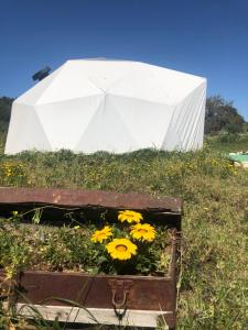 Gallery image of Forest Domes in Setúbal +6 photos