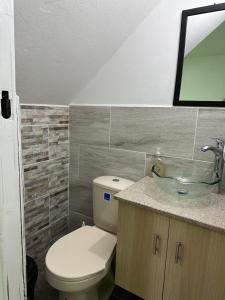 a bathroom with a toilet and a sink at Apartamentos La Gloria Guatapé in Guatapé