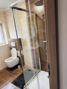 a bathroom with a shower with a toilet at Apartments with parking space Delnice, Gorski kotar - 21611 in Delnice