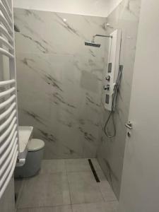 a white bathroom with a toilet and a shower at Pash apartment in Pero