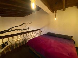 1 dormitorio con 1 cama y una rama en la pared en Cabañas MiNa's, en Huasca de Ocampo