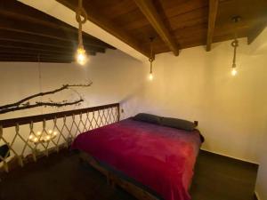 1 dormitorio con 1 cama en una habitación con luces en Cabañas MiNa's, en Huasca de Ocampo
