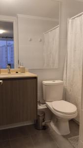 a bathroom with a toilet and a sink and a shower at Departamento esmeralda Iquique x dia in Iquique