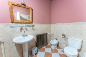 uma casa de banho com um lavatório, um WC e um espelho. em Hotel Rincón Castellano em Cuéllar