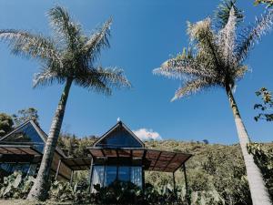 duas palmeiras em frente a uma casa em VOLARE Experience em Guatapé
